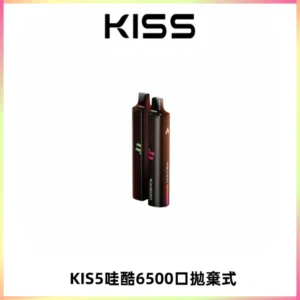 KIS5WAGOO哇酷6500口拋棄式 | 自由混搭雙口味 | 雙芯組合